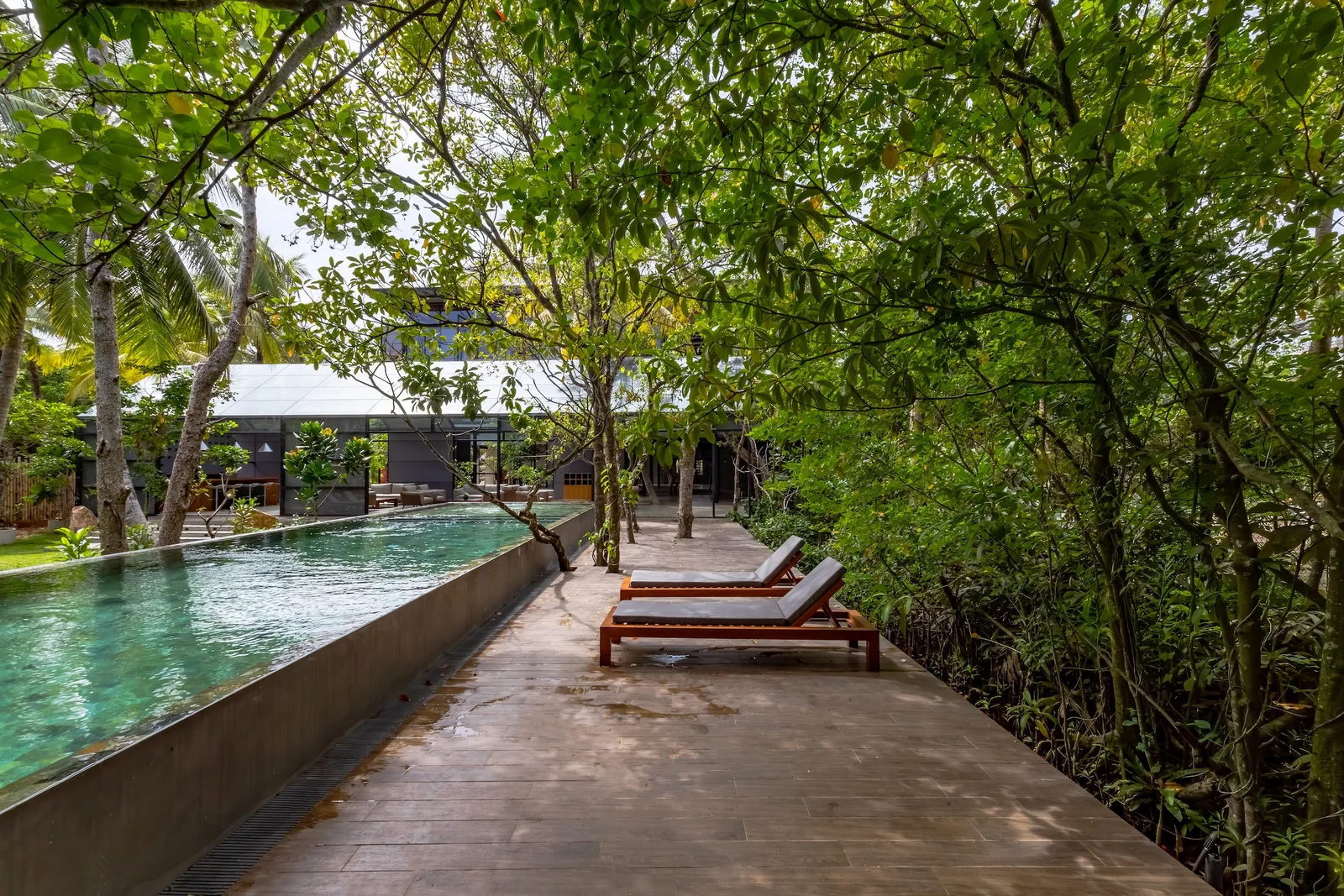 Serene poolside perspective within the BlackRoots sanctuary setting